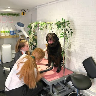 Oces Holistic Dog Grooming & Self Service