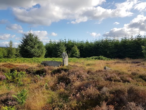 Whitehill Stone Circle