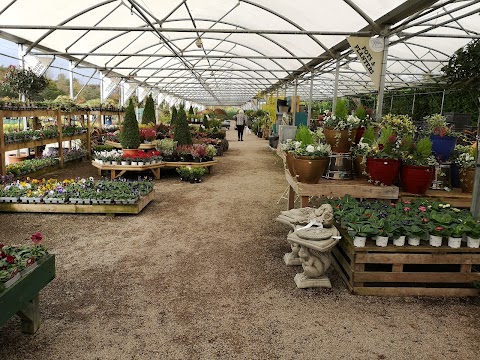 Jacksons Nurseries, Tea Room & Farm Shop