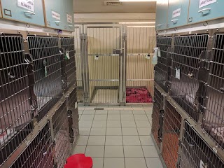 Birmingham (Aston) PDSA Pet Hospital