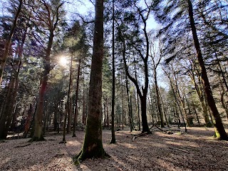 Blackwater Arboretum