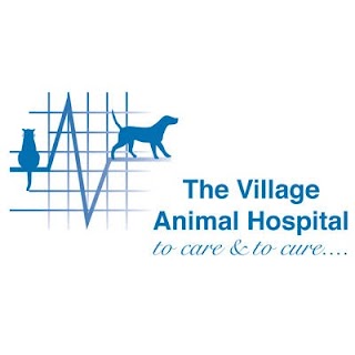 The Village Veterinary Centre - Smallfield