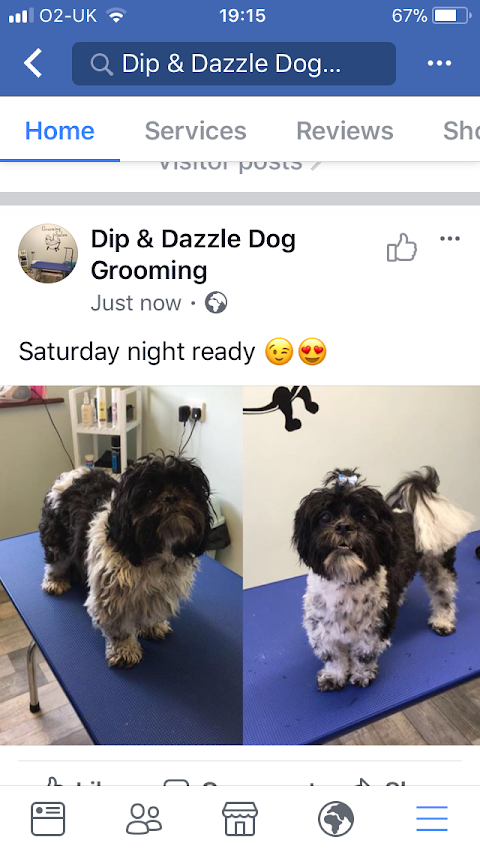 Dip & Dazzle Dog Grooming