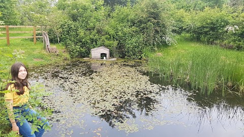 Nabb Lane Woods' Lodges