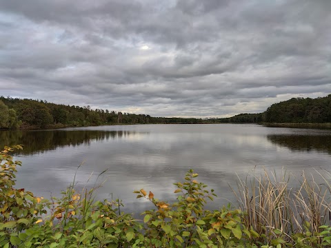 Риборозплідне господарство «Нивка» УкрНДІ