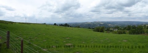 Mount View Farm Kennels and Cattery