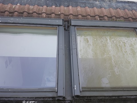 Blue Window Cleaning