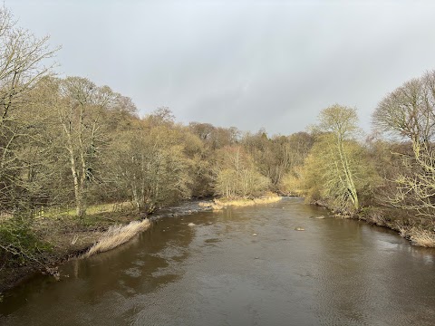 Almondell & Calderwood Country Park Visitor Centre