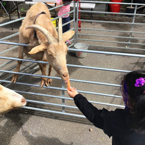 Slough Centre Nursery School