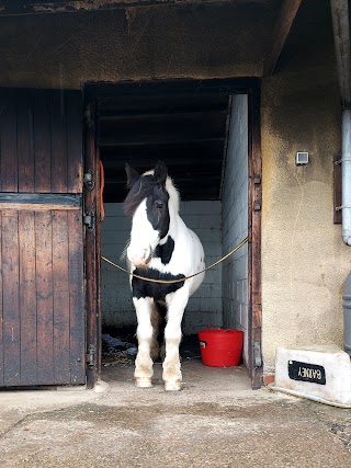 Cowley Riding School