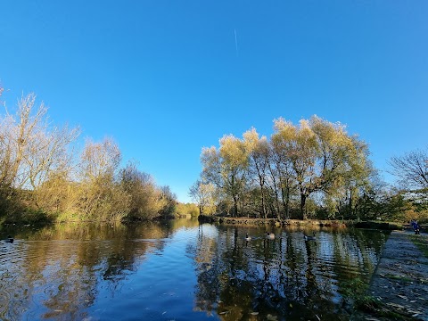 Daisy Nook Country Park