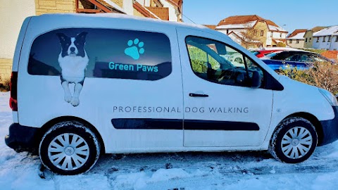 Green Paws Dog Walker