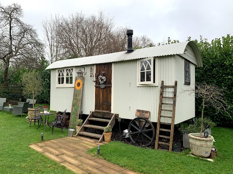 Shepherds Hut Hampshire