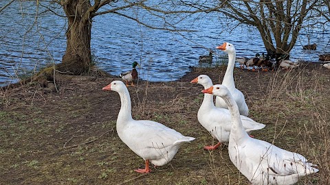 Walton Colliery Nature Park