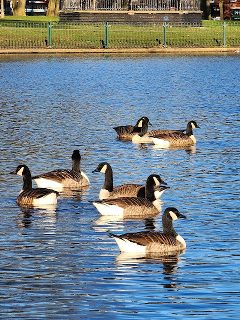 Small Heath Park