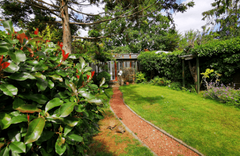 Amberlodge Boarding Cattery