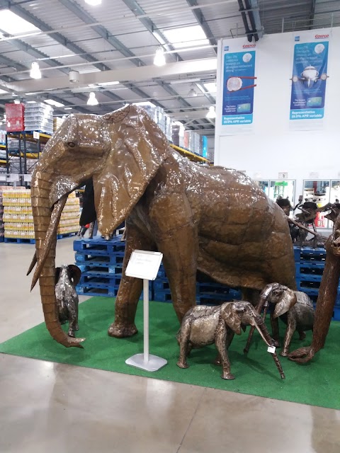 Costco Chester