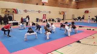 Premier Taekwondo