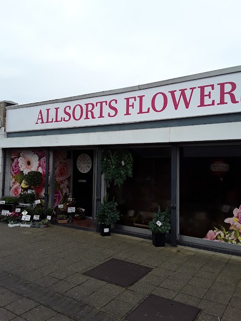 Allsorts Flowers