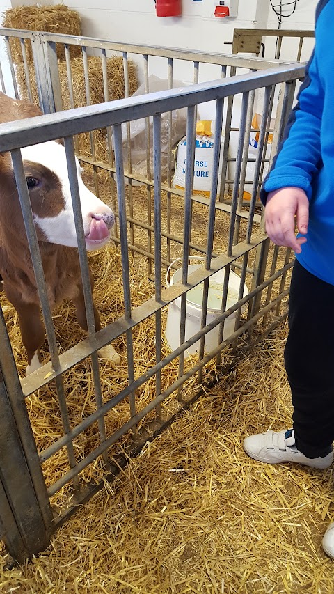 East Hull Community Farm