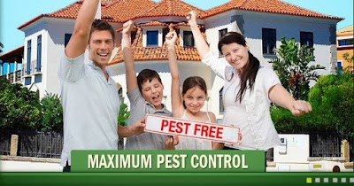 photo of Maximum Pest Control Services