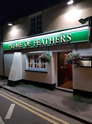 The Plume Of Feathers, Weedon