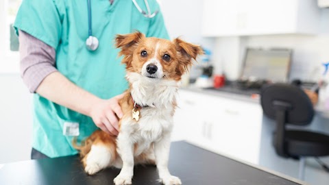 Ambivet Veterinary Group - Aspley