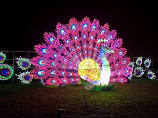 Lightopia Heaton Park