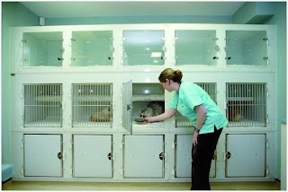 Kitten to Cat - cat only veterinary clinic