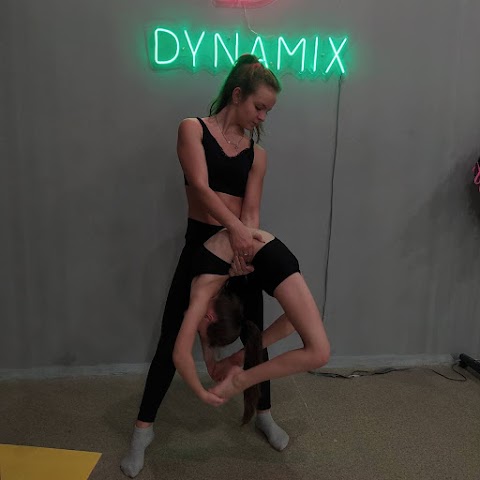 Федерація пілонного спорту «Dynamix»