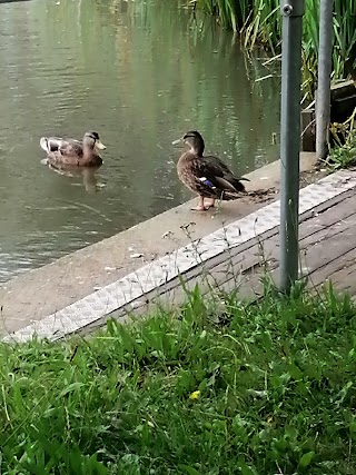 East Beach Pond