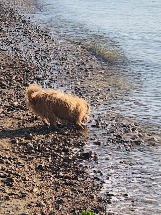 Titchfield Haven Beach