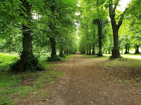 Clumber Park Caravan and Motorhome Club Campsite