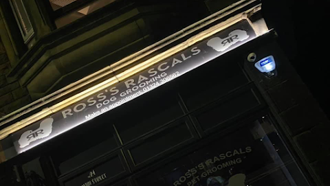 Ross's Rascals Dog Grooming