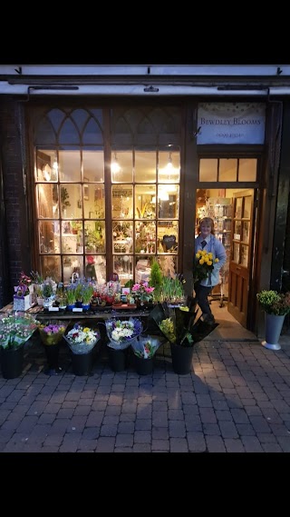 Bewdley Blooms