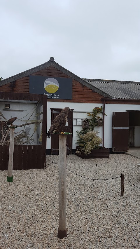 Feadon Wildlife & Education Centre