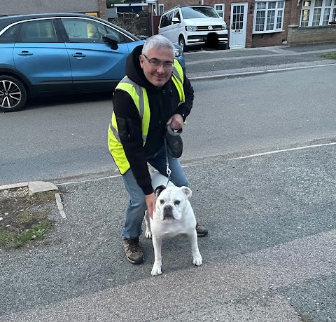 Dog Walking Bedford - Lewie's Rainbow