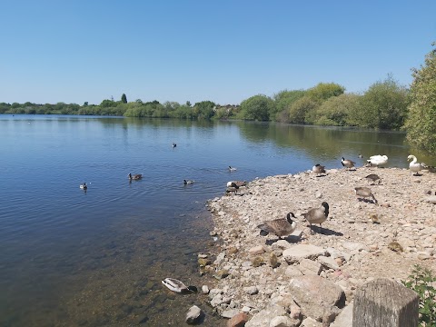 Attenborough Nature Reserve