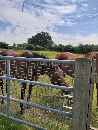 Scott Dunn's Equine Clinic