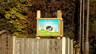 Apple Tree Cattery Trowell