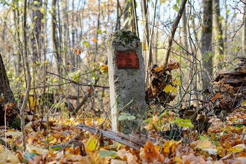 Ботанічний заказник загальнодержавного значення "Лісники"