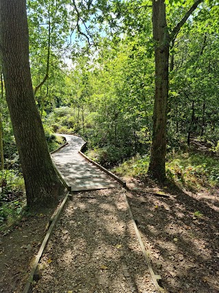 Warsash Common