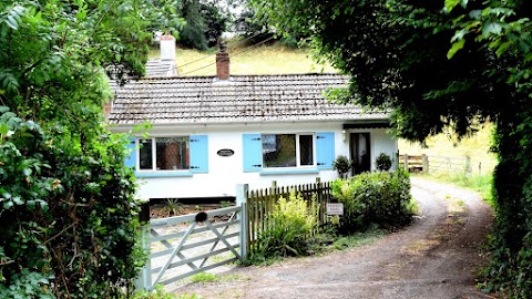 The Hollies Forest Cottage