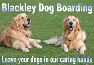 Blackley Dog Boarding