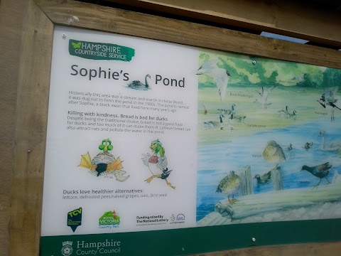 Sophie’s Pond