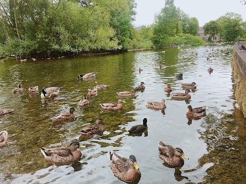 Riverside Gardens