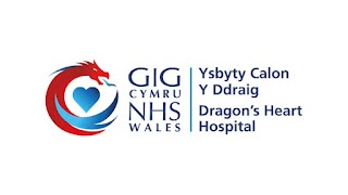 Ysbyty Calon y Ddraig - Dragon's Heart Hospital