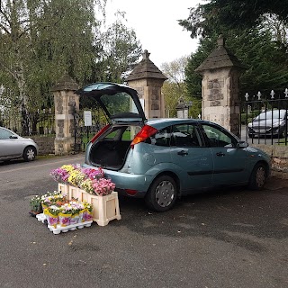 Flower stall