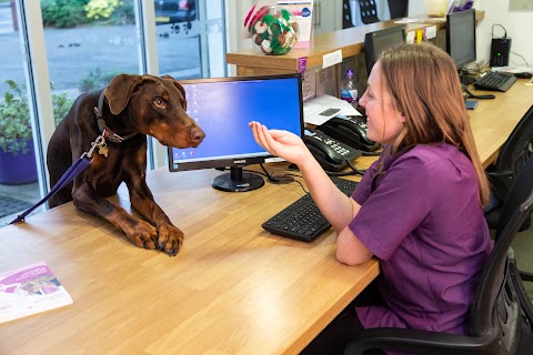 Fivelands Veterinary Centre