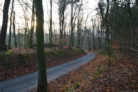 Almondell & Calderwood Country Park